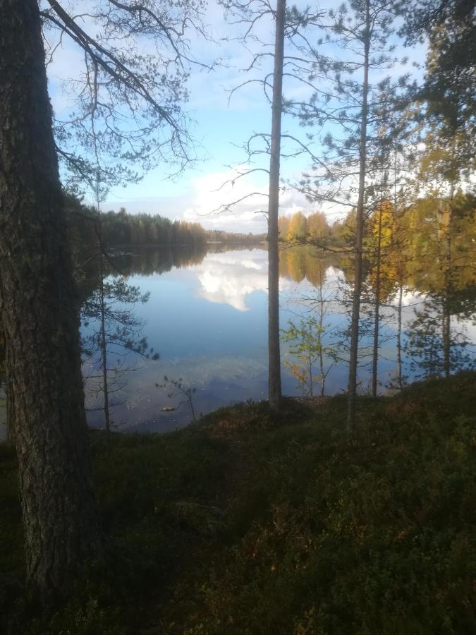 Tiirantuvat Villa Juankoski Buitenkant foto